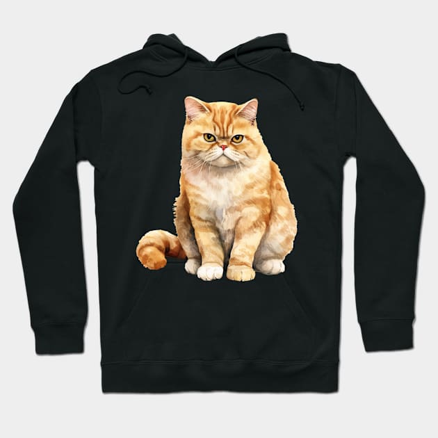 Exotic Shorthair Cat Hoodie by DavidBriotArt